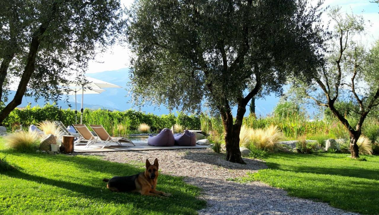 ריבה דל גארדה Agritur Fiore D'Ulivo מראה חיצוני תמונה
