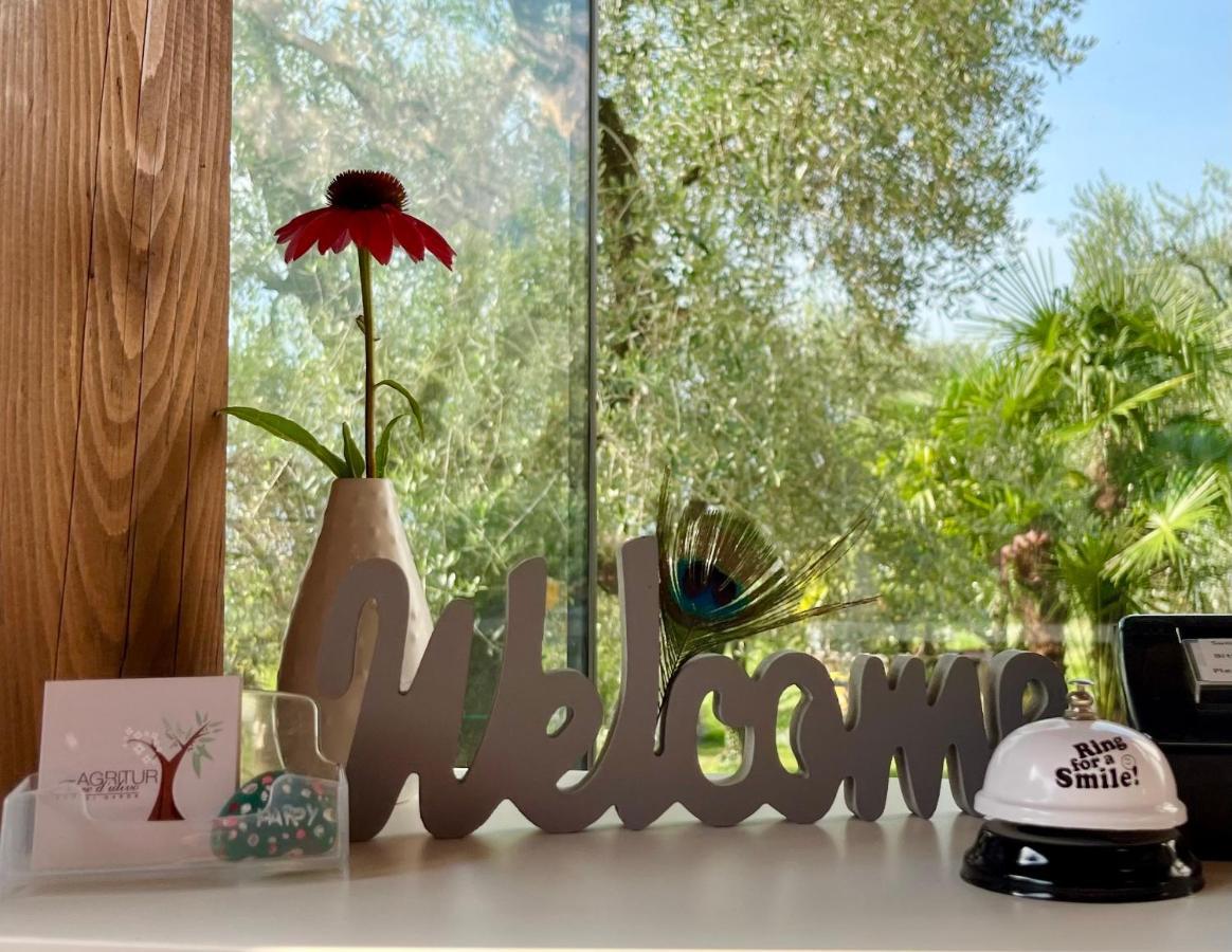 ריבה דל גארדה Agritur Fiore D'Ulivo מראה חיצוני תמונה