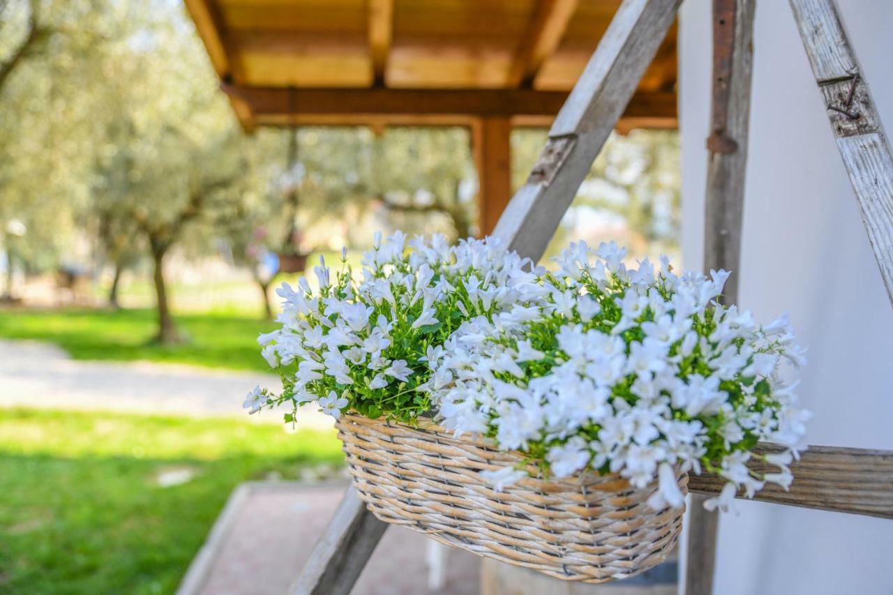 ריבה דל גארדה Agritur Fiore D'Ulivo מראה חיצוני תמונה