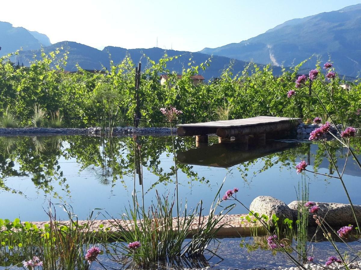 ריבה דל גארדה Agritur Fiore D'Ulivo מראה חיצוני תמונה